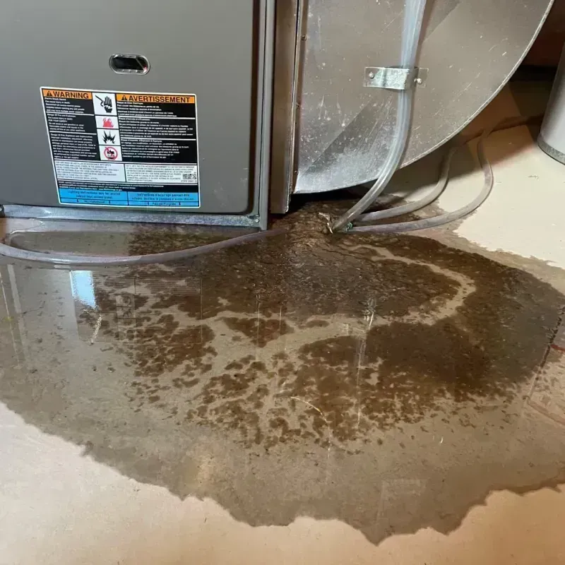 Appliance Leak Cleanup in Point Pleasant, WV